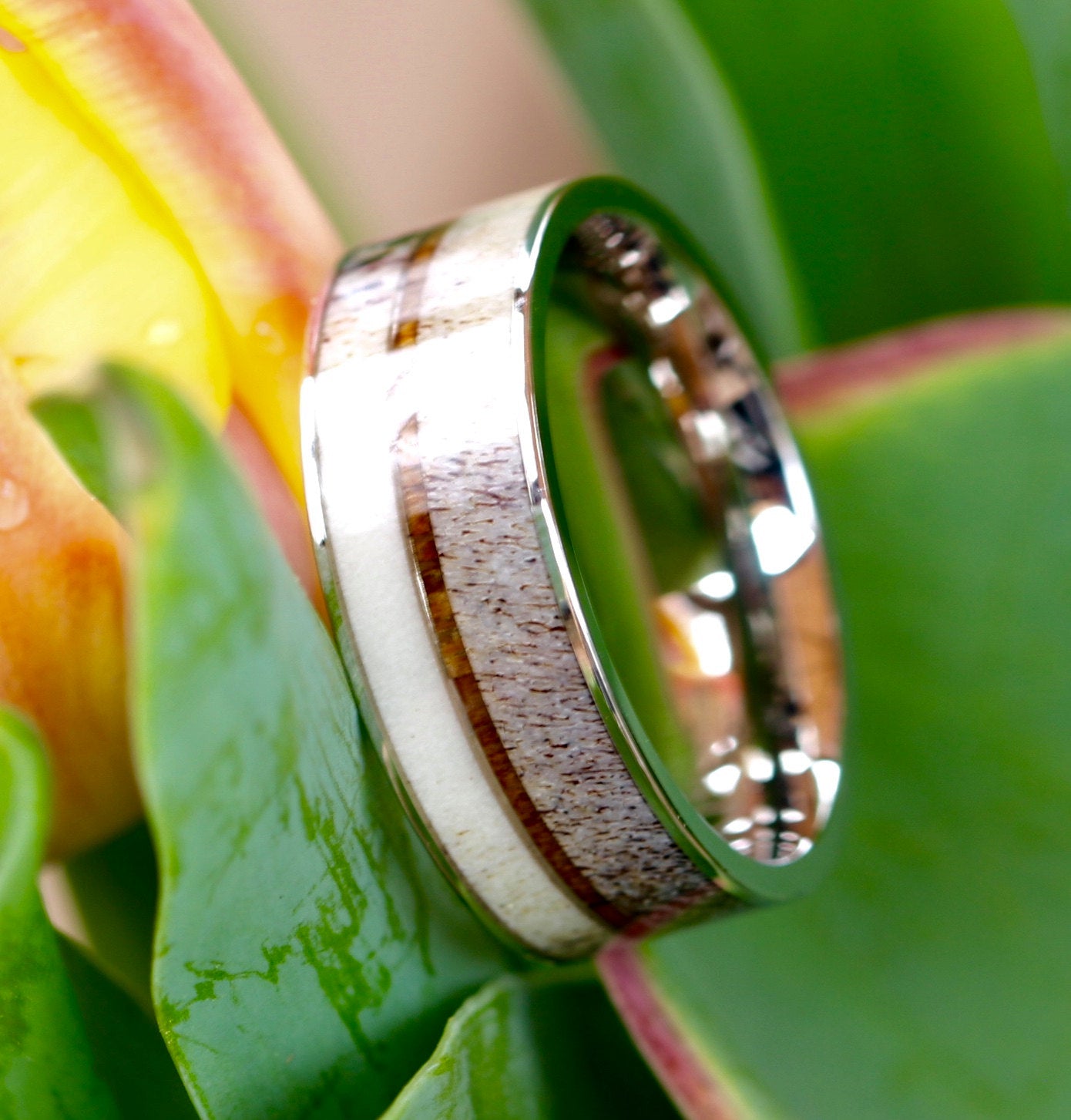 Deer Antler Ring with Koa Wood Inlay