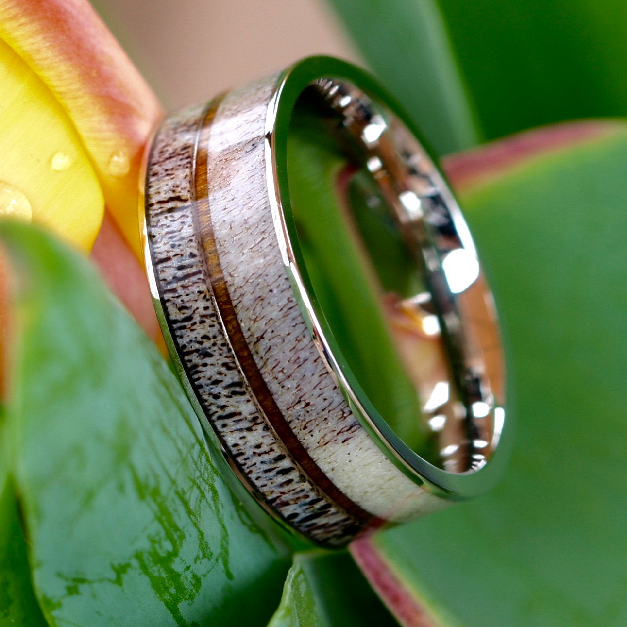 Deer Antler Ring with Koa Wood Inlay