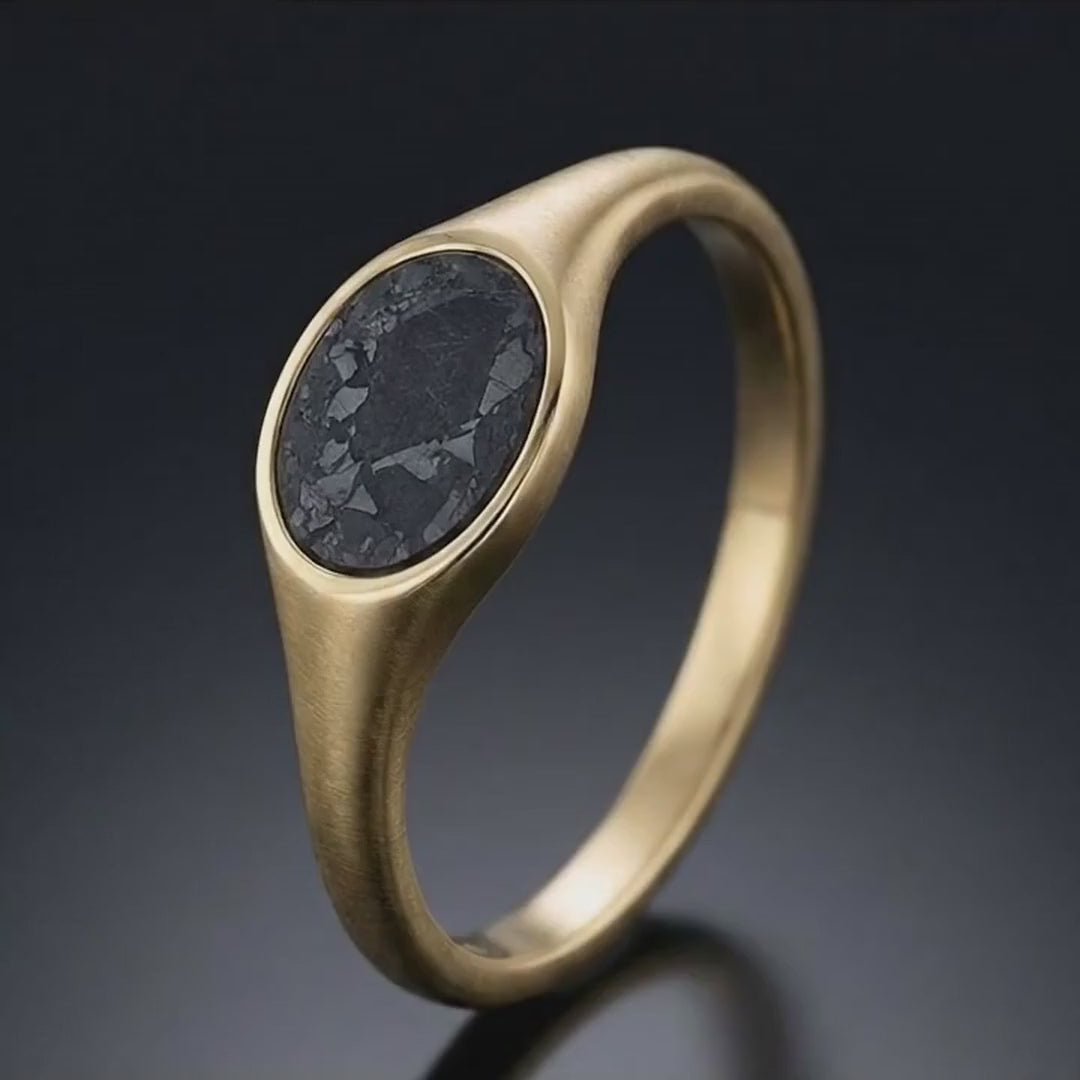 Luna - Lunar Meteorite - Signet Ring — SPR rotation